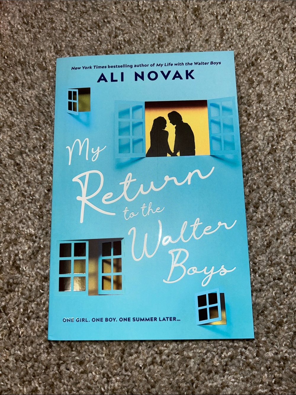My Return to the Walter Boys by Ali Novak